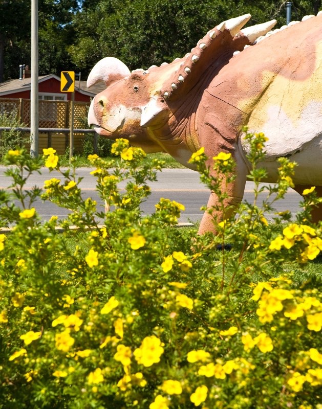 _MG_7496.psd-twist-11X14-300-shrpn