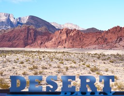 DSCF6020-book-CO-15.5 X 20-300-.jpg