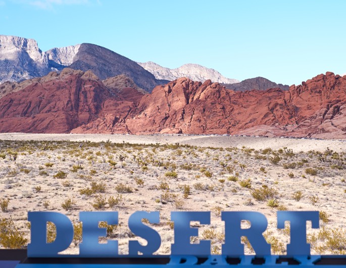 DSCF6020-book-CO-15.5 X 20-300-.jpg