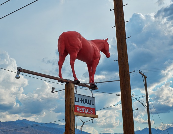 DSCF7730-CO-eye-15.5 X 20-300-.jpg