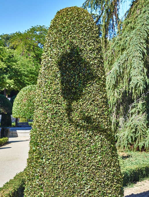 P6202723 1-CO-twist-15.5 X 20.5-300--