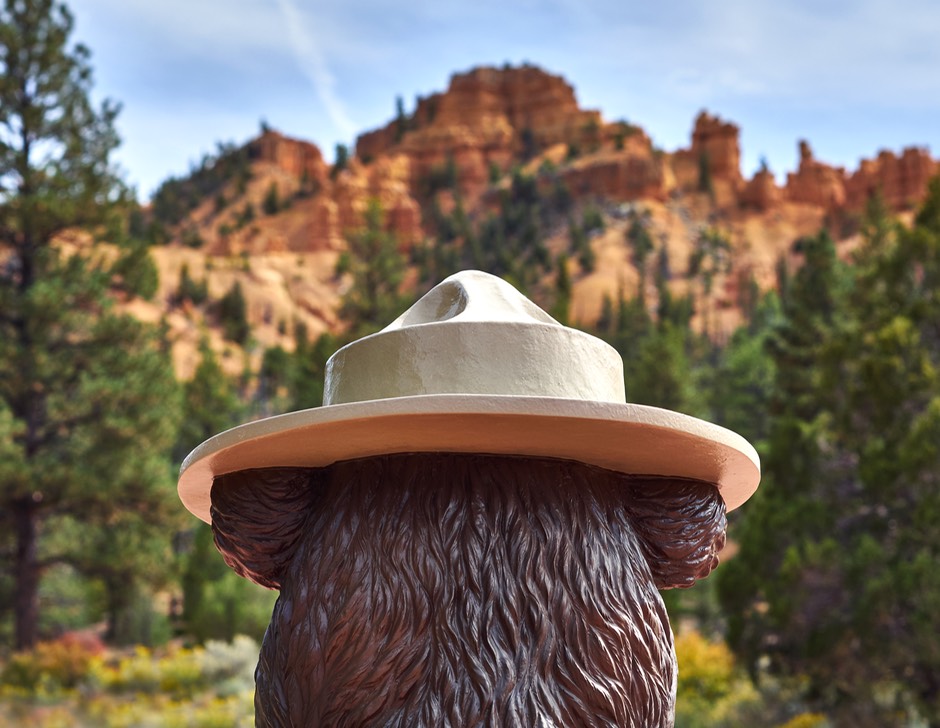 P9193565-CO-NU-15.5 X 20-300- copy.jpg